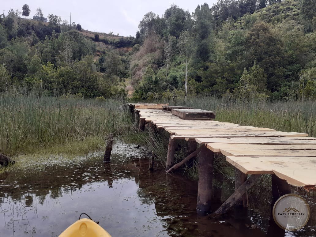 Parcela en Venta con Acceso Directo al Río Chepu y Muelle Propio – Chiloé | 5.600 m2 — foto 9