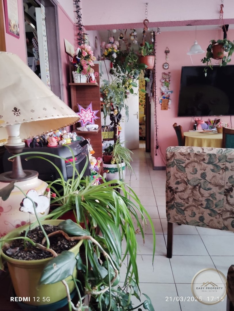 Departamento central, Calle Valdivia — foto 5