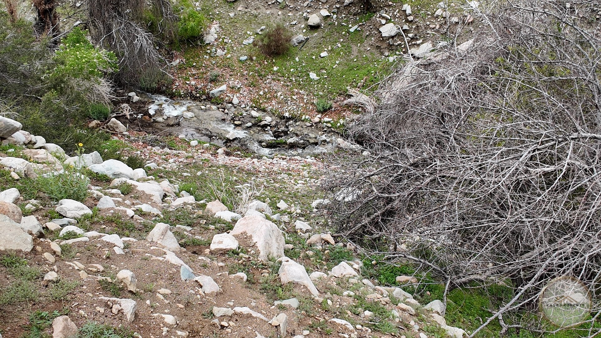 Parcela de 10.000 m2 con Casa y Derechos de Agua - Sector El Ciruelo, Pisco Elqui — foto 12