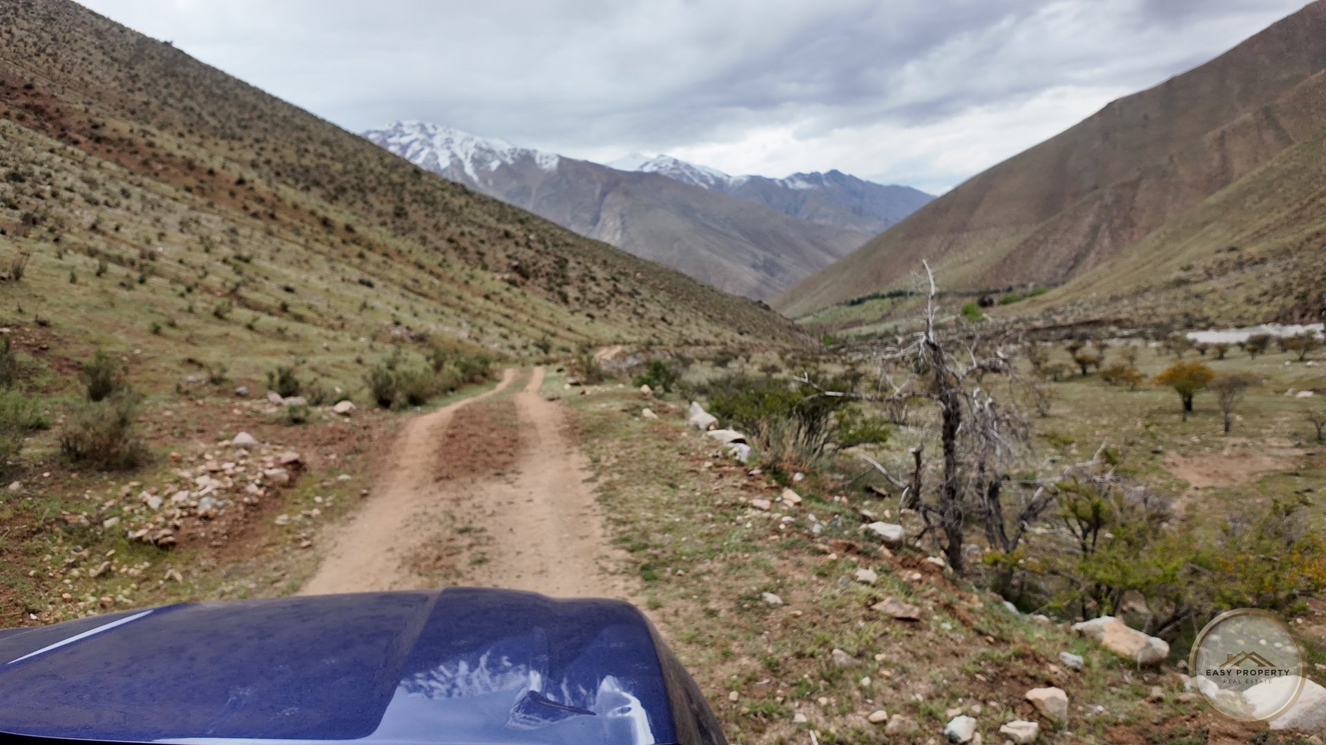 Parcela de 10.000 m2 con Casa y Derechos de Agua - Sector El Ciruelo, Pisco Elqui — foto 13
