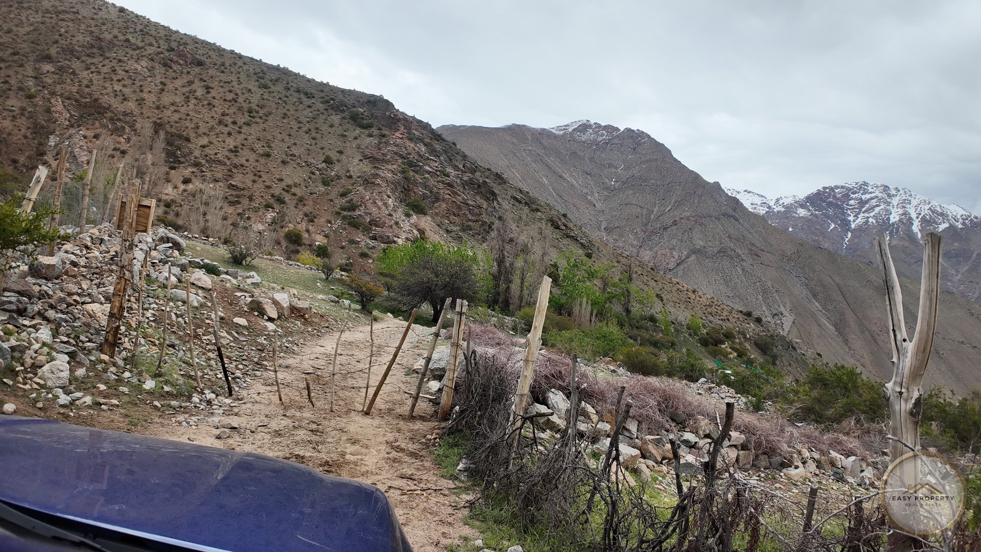 Parcela de 10.000 m2 con Casa y Derechos de Agua - Sector El Ciruelo, Pisco Elqui — foto 15