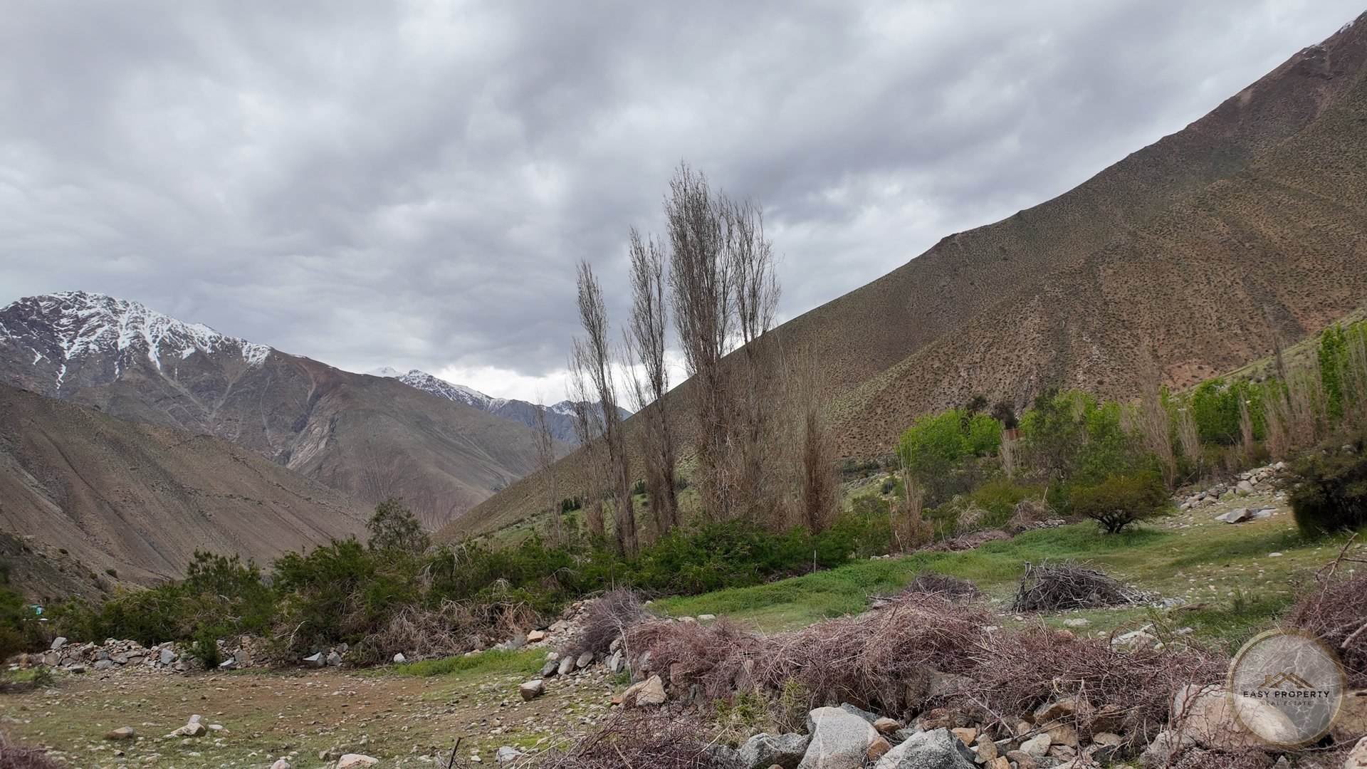 Parcela de 10.000 m2 con Casa y Derechos de Agua - Sector El Ciruelo, Pisco Elqui — foto 16