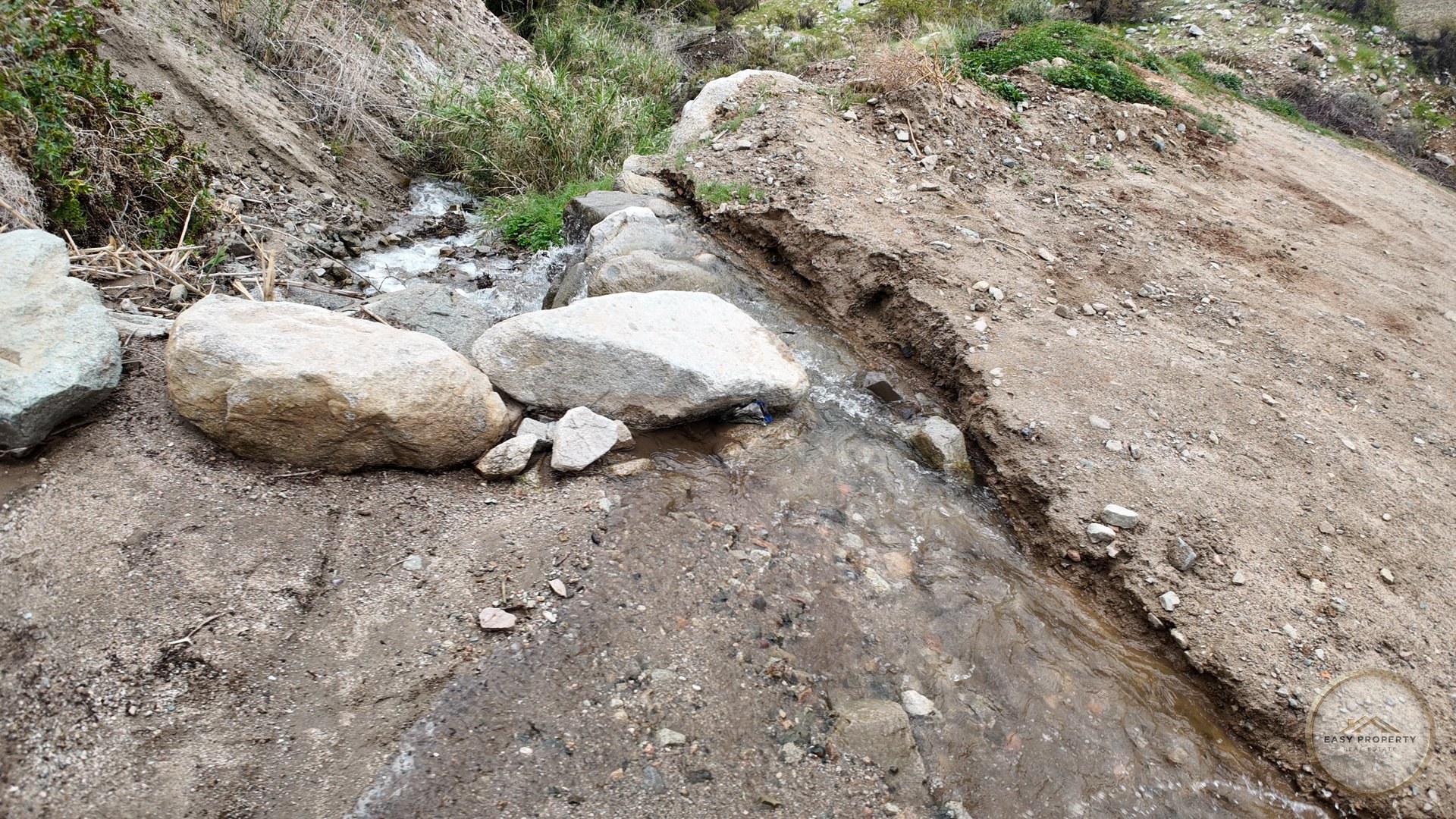 Parcela de 10.000 m2 con Casa y Derechos de Agua - Sector El Ciruelo, Pisco Elqui — foto 19